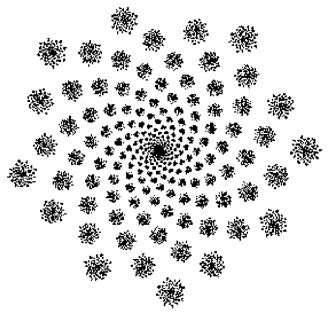 The Fibonacci spiral | Sacred Geometry